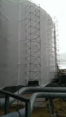 IMAG0242